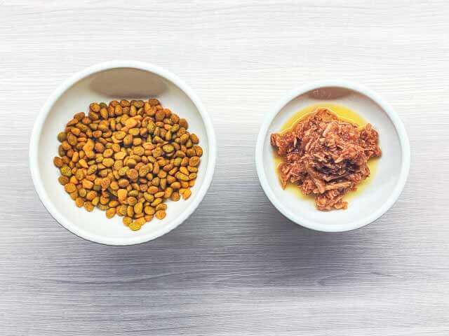 栄養バランスの食事写真