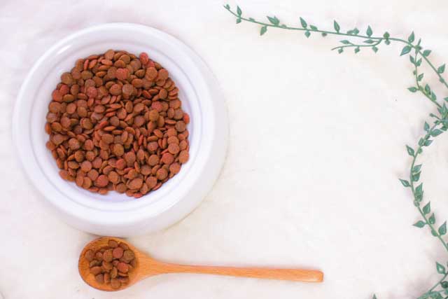 ONLINESHOPのイメージ画像